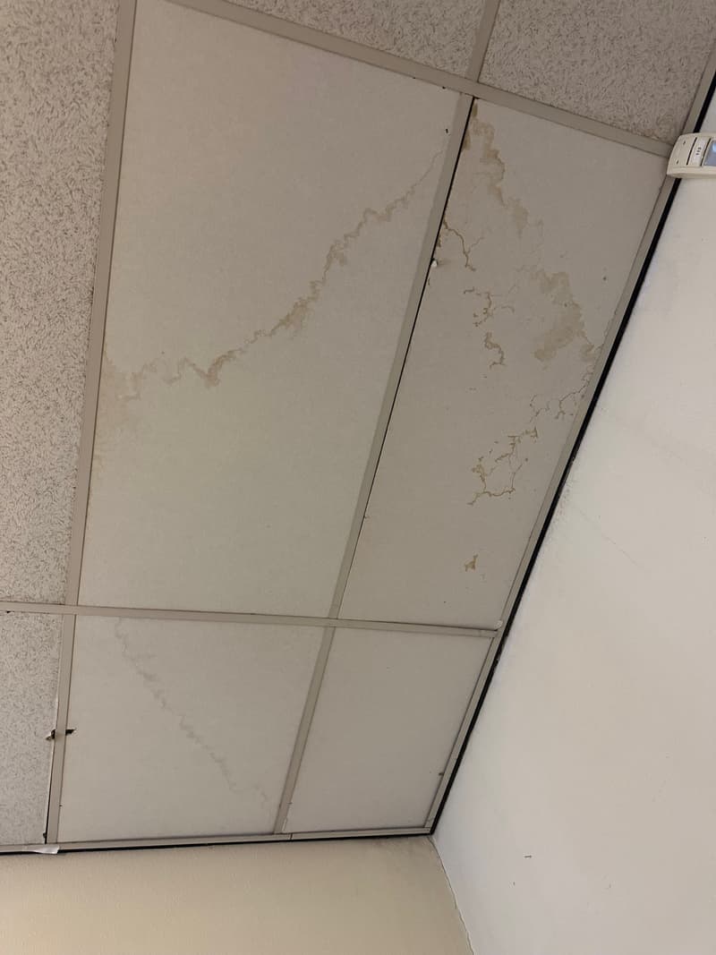 Plafondtegels met watervlekken