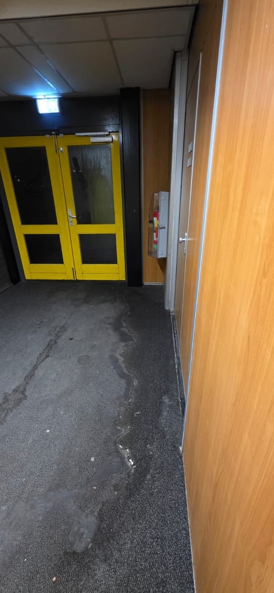 Schoolgang met waterschade op het tapijt